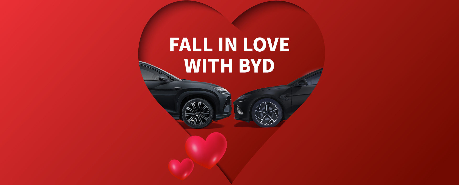 Fall In Love With BYD Valentines Day 2025